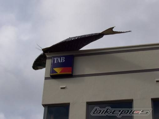 Photo 427420