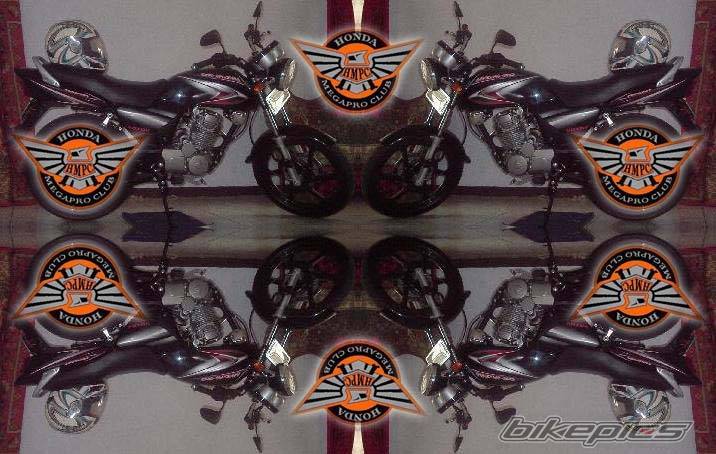 Photo 427440