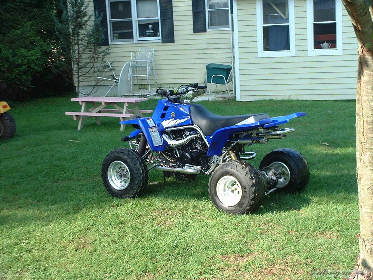 Photo 427474