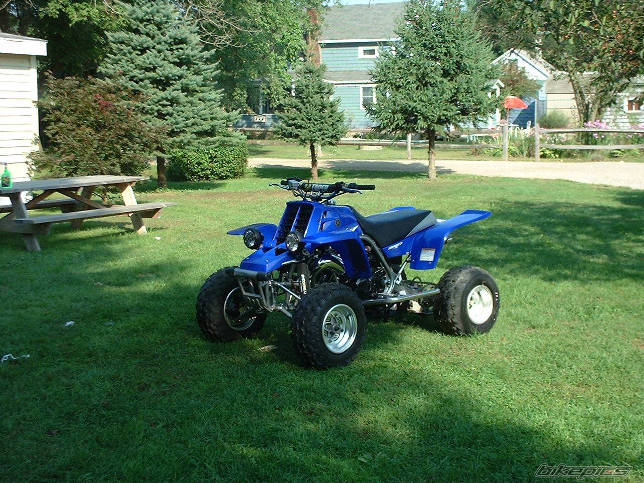 Photo 427478