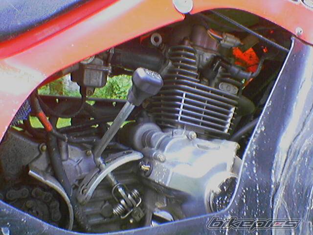 Photo 427508
