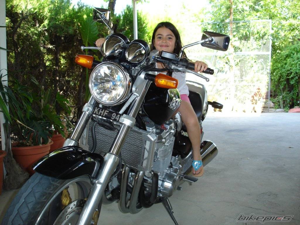 Photo 427533