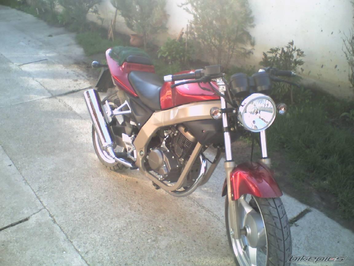 Photo 427631