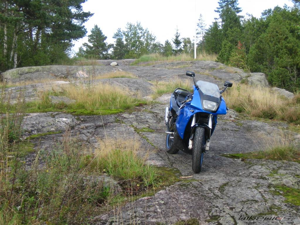 Photo 427639