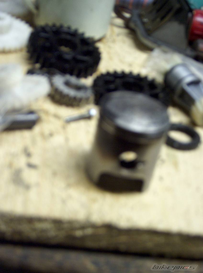 Photo 427652