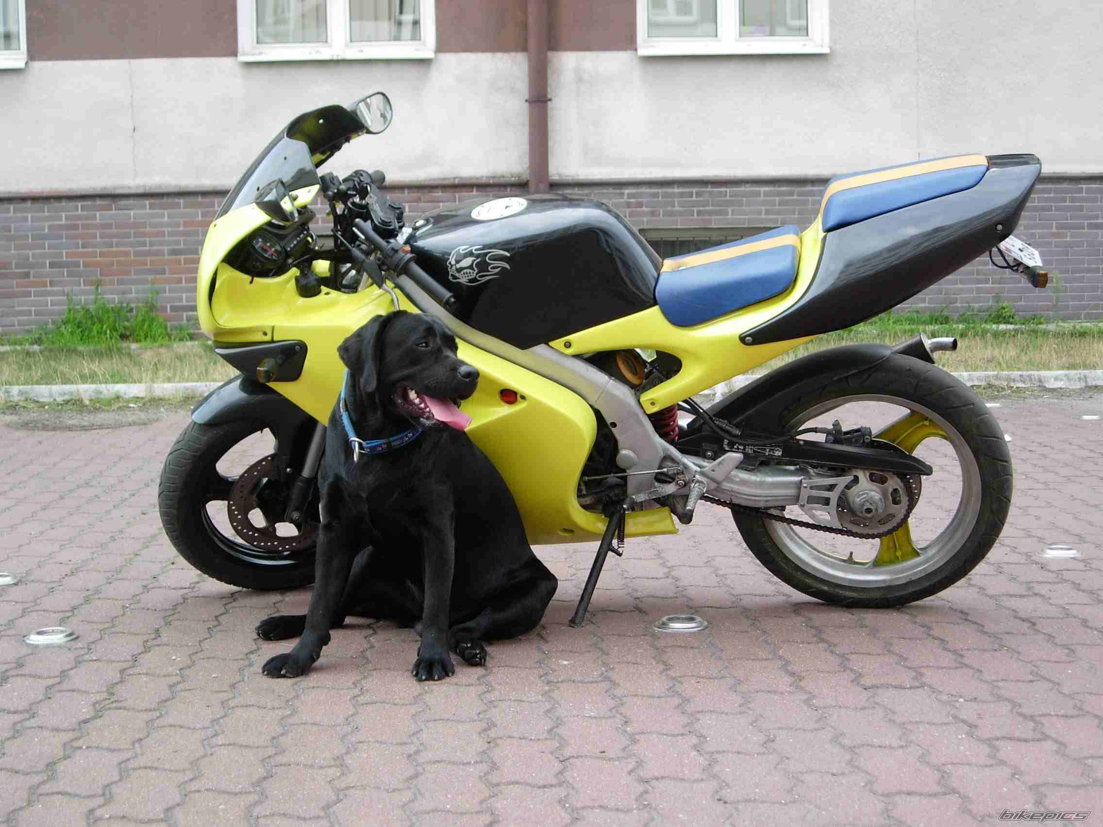 Bike Photo 427653