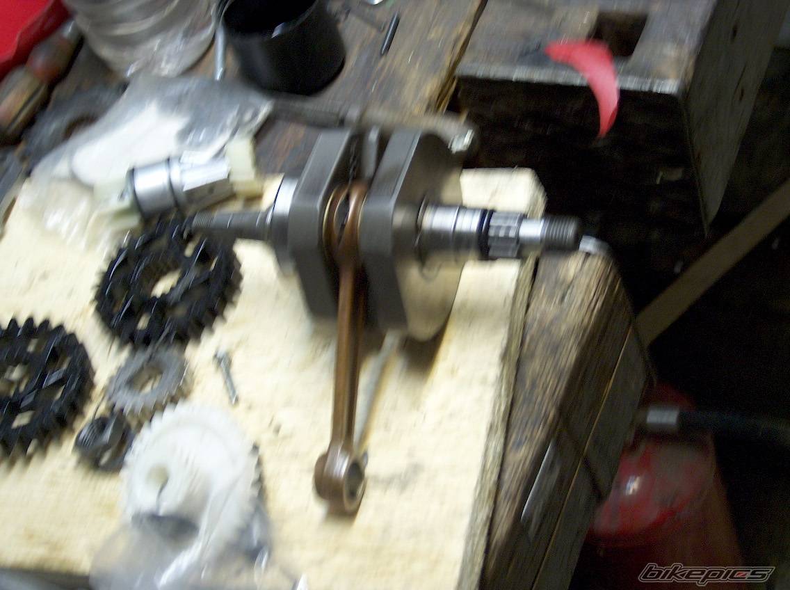 Photo 427654