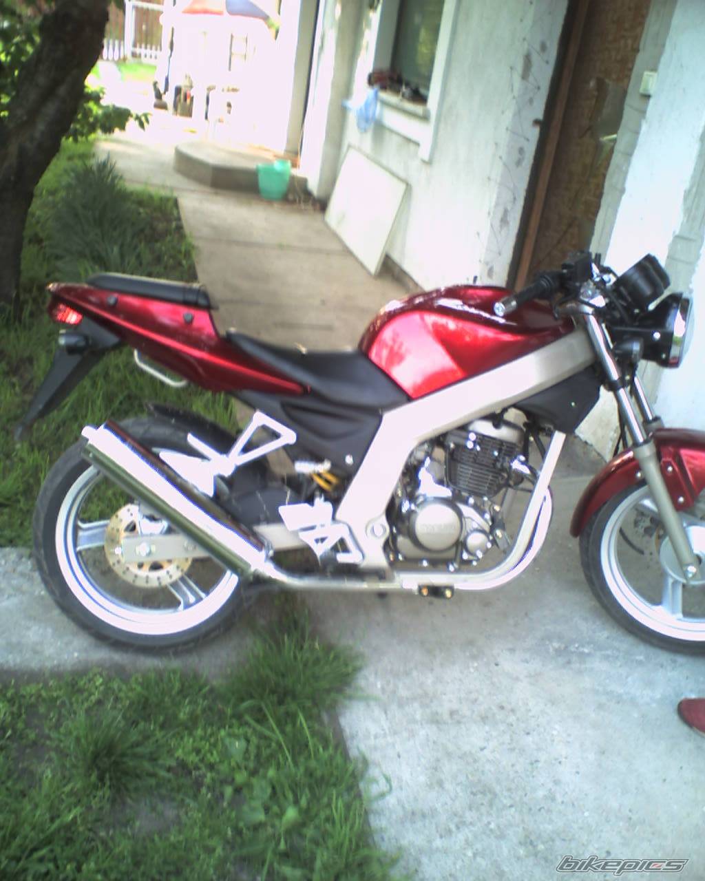 Photo 427674