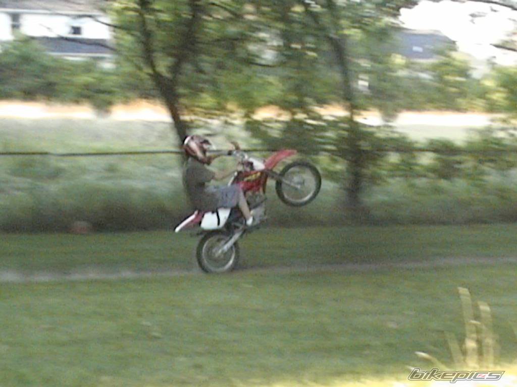 Photo 427738