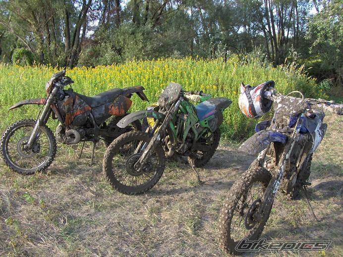 Photo 427769