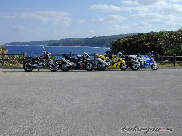 Photo 42781
