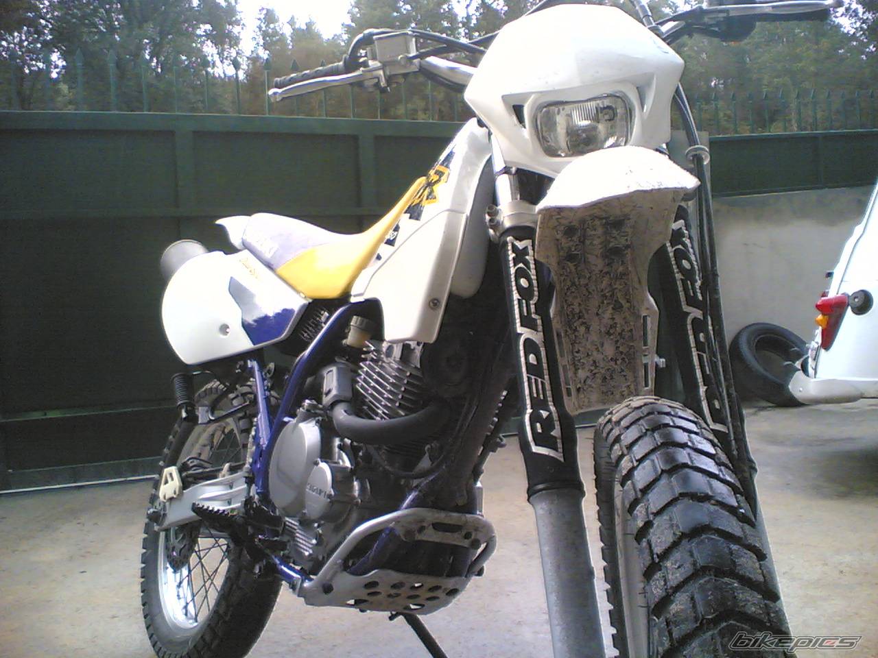 Photo 427850