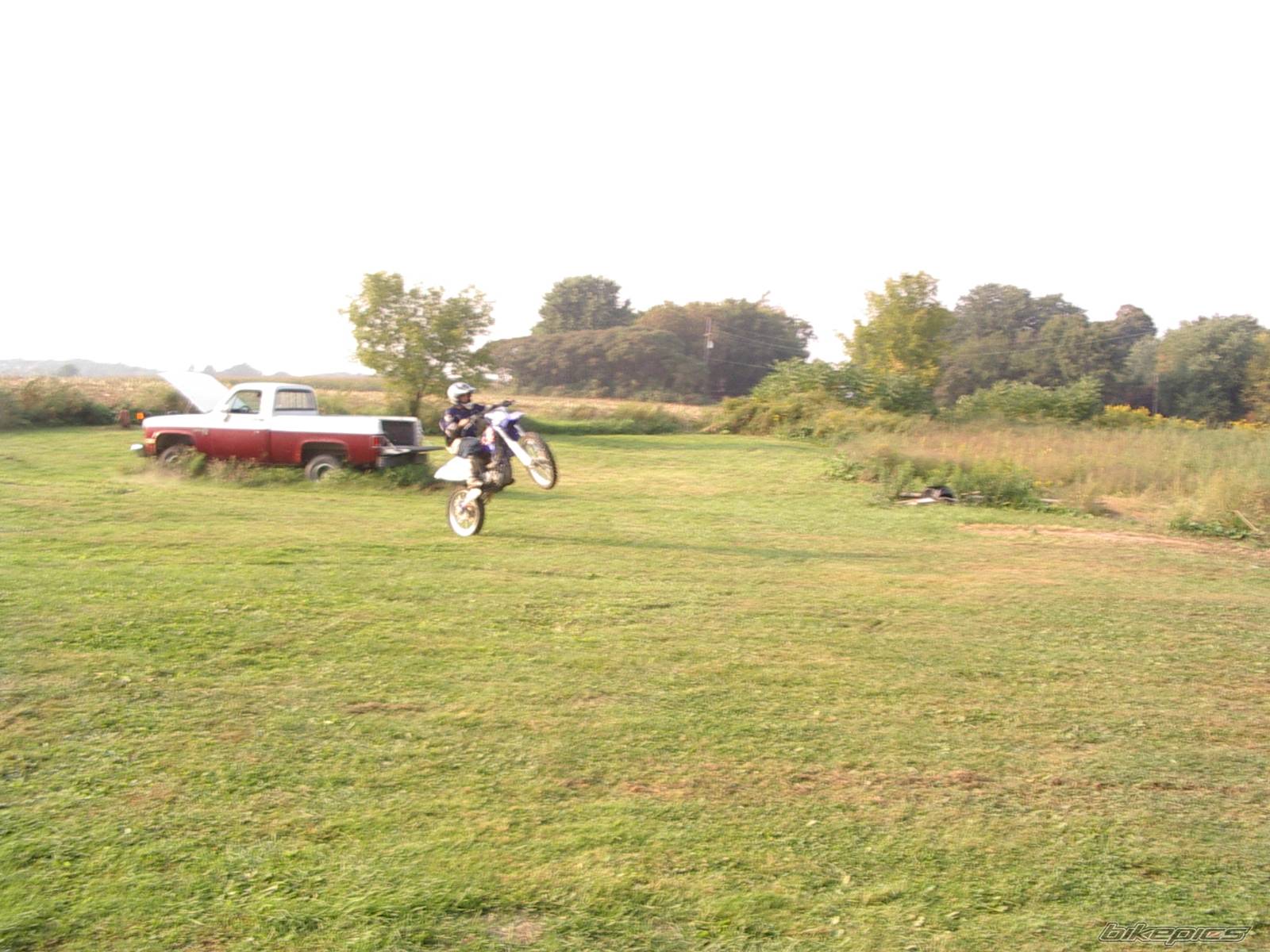 Photo 427856