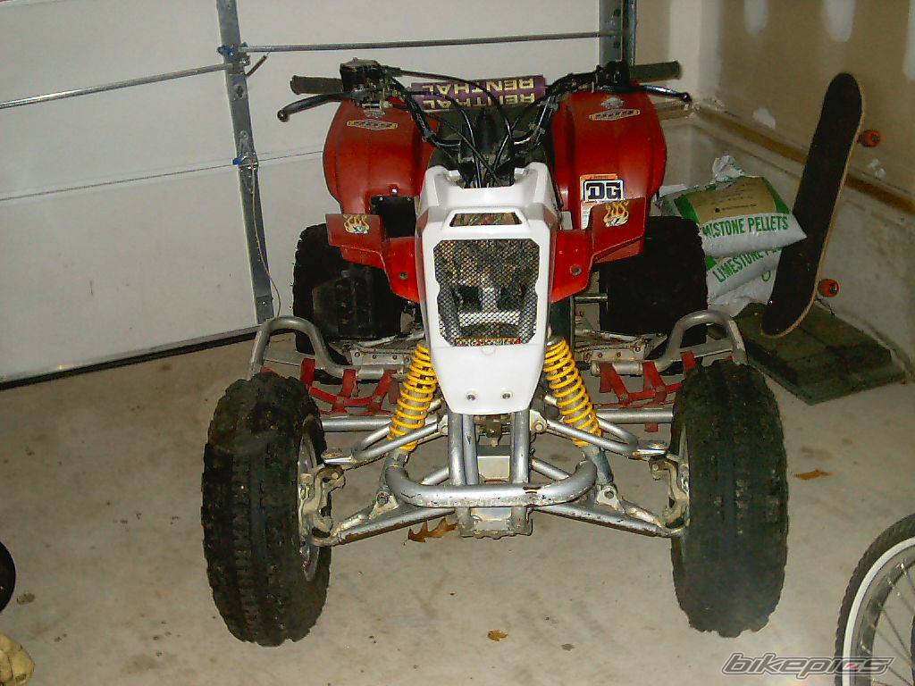 Photo 42789