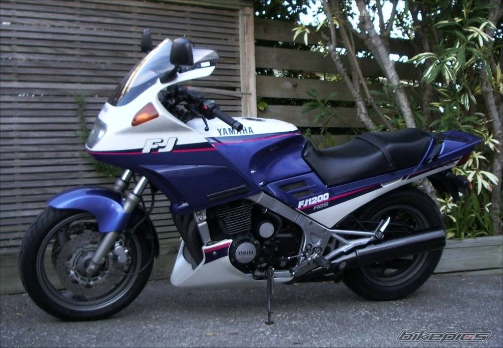 Photo 427992