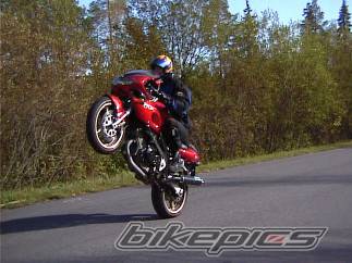 Photo 428