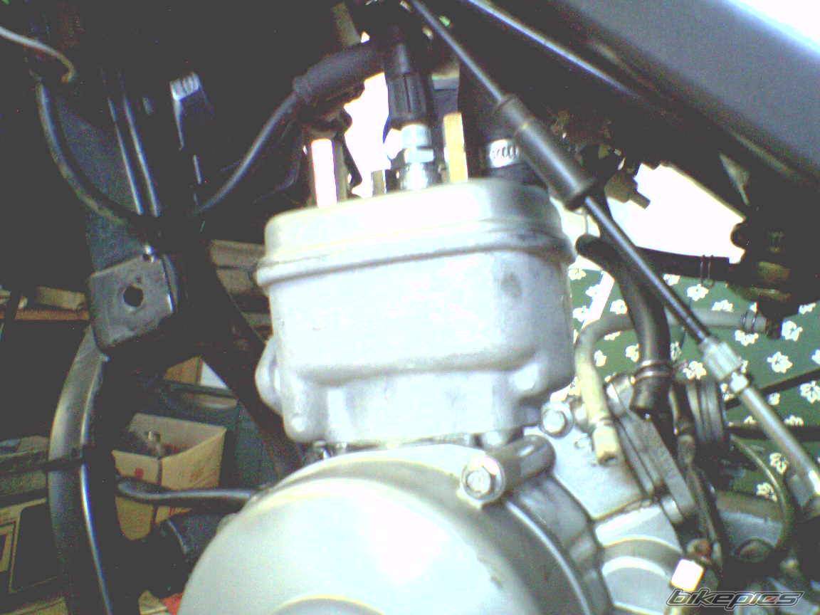 Bike Photo 428282