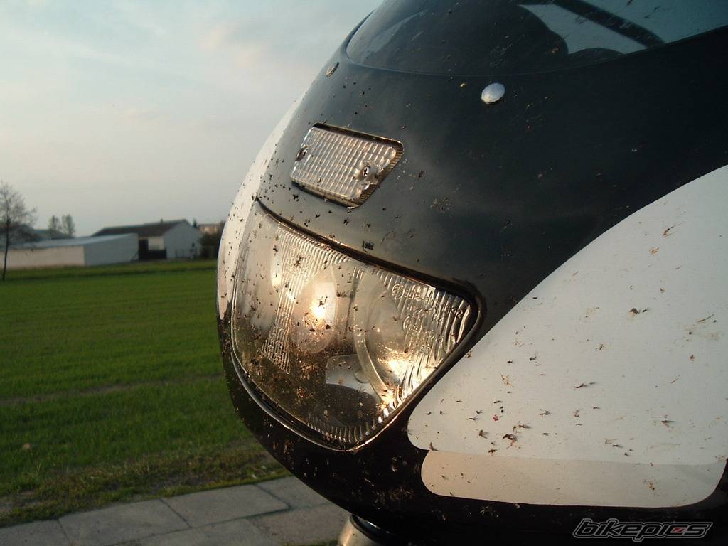 Photo 428351