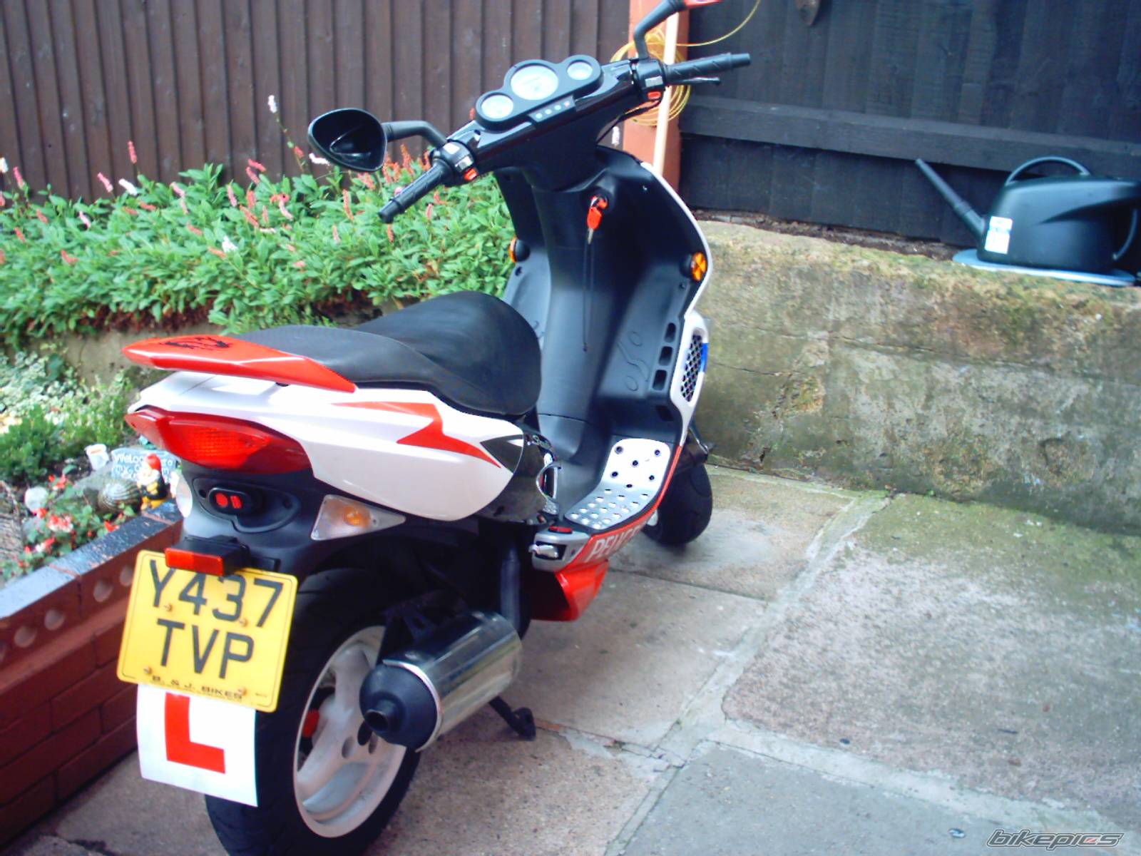 Photo 428363