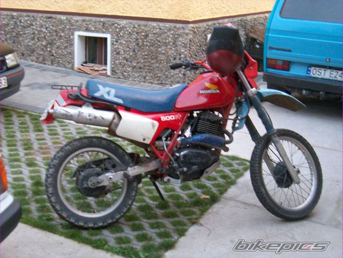 Photo 428430