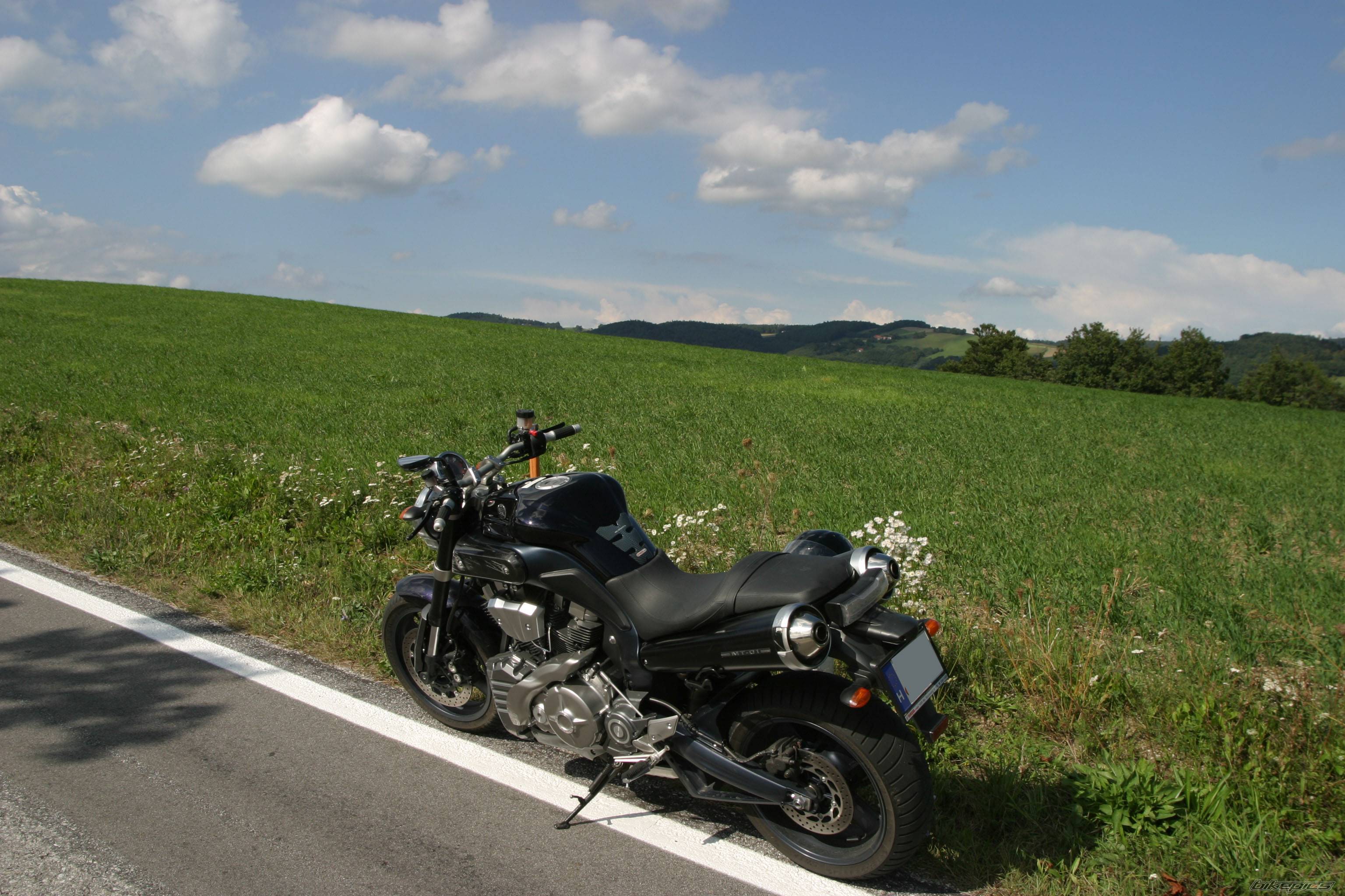 Photo 428454