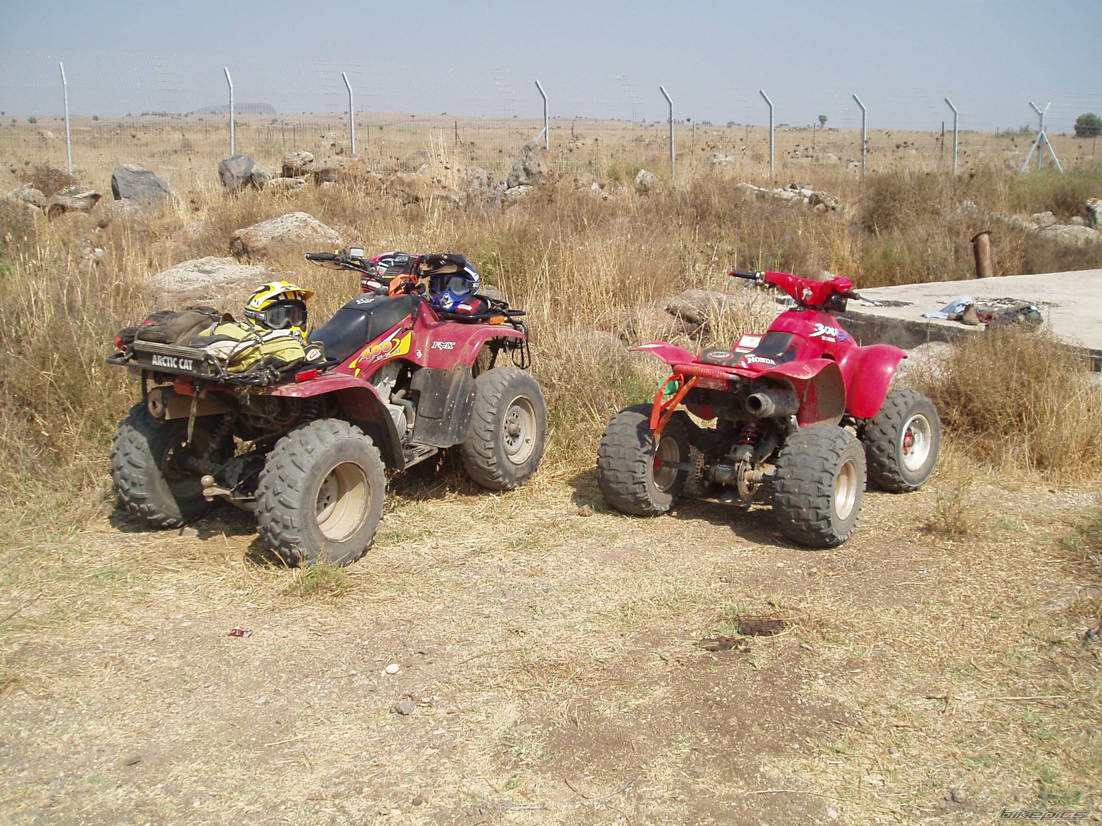 Photo 428552