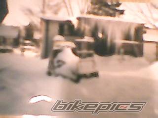 Photo 428645