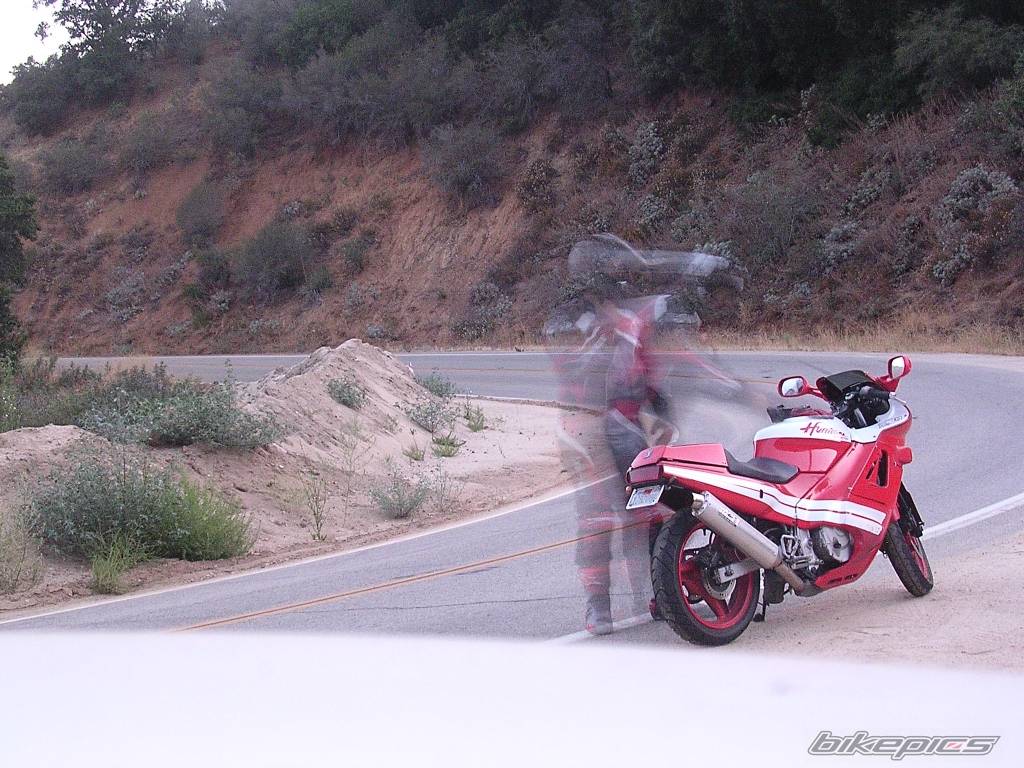 Bike Photo 428675