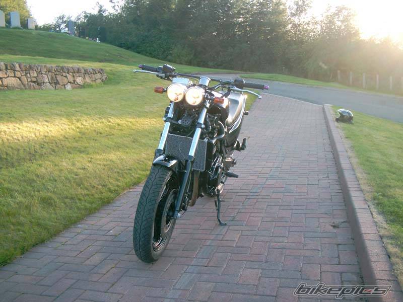 Photo 428776