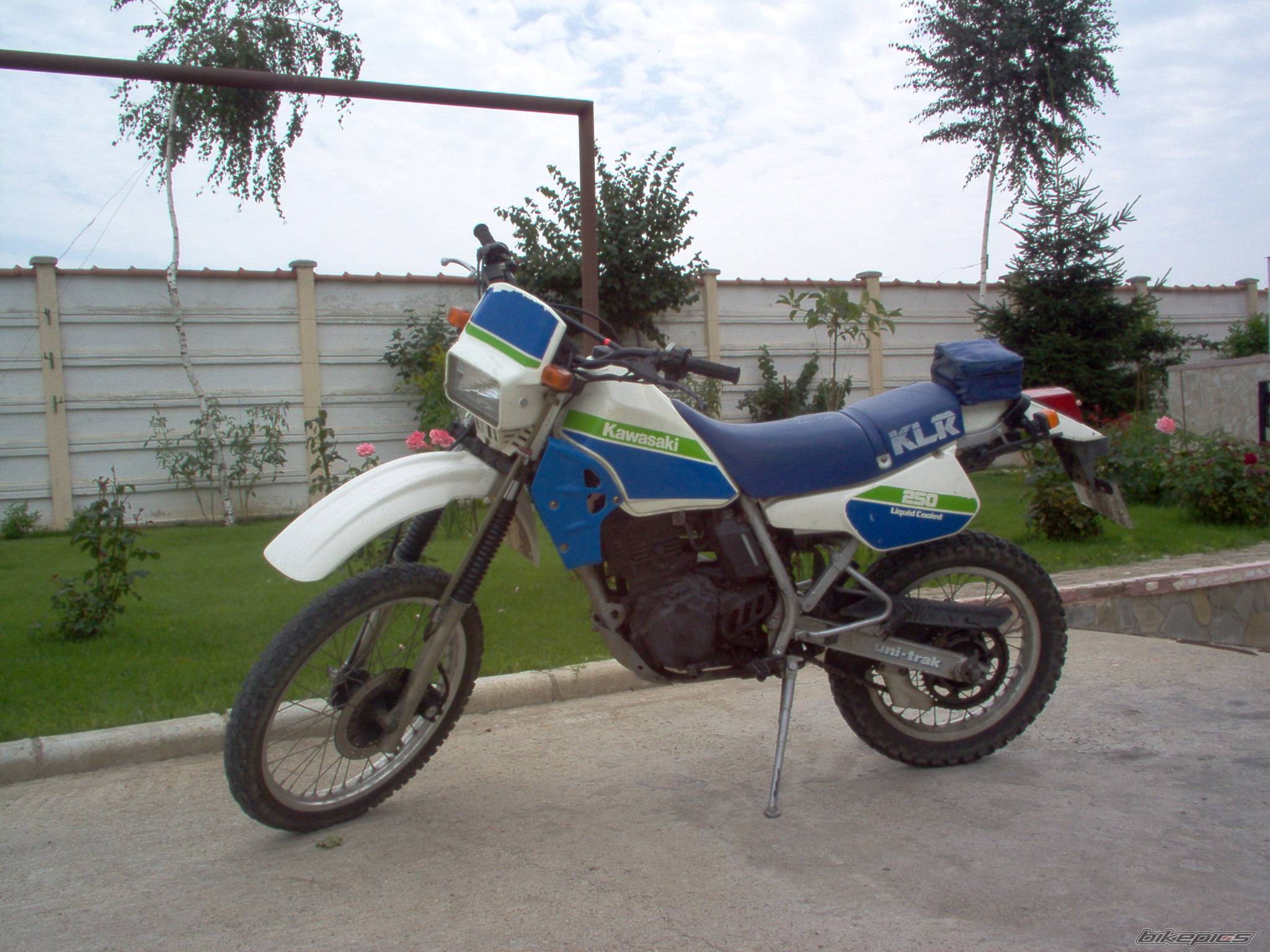 Photo 428788