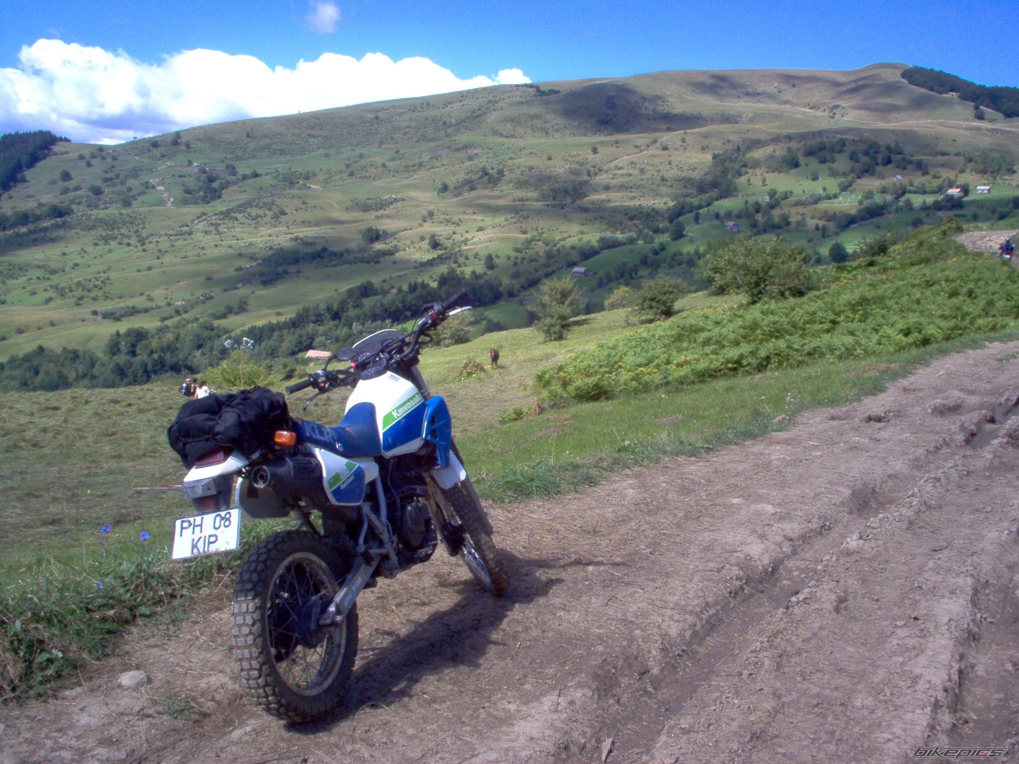 Photo 428817