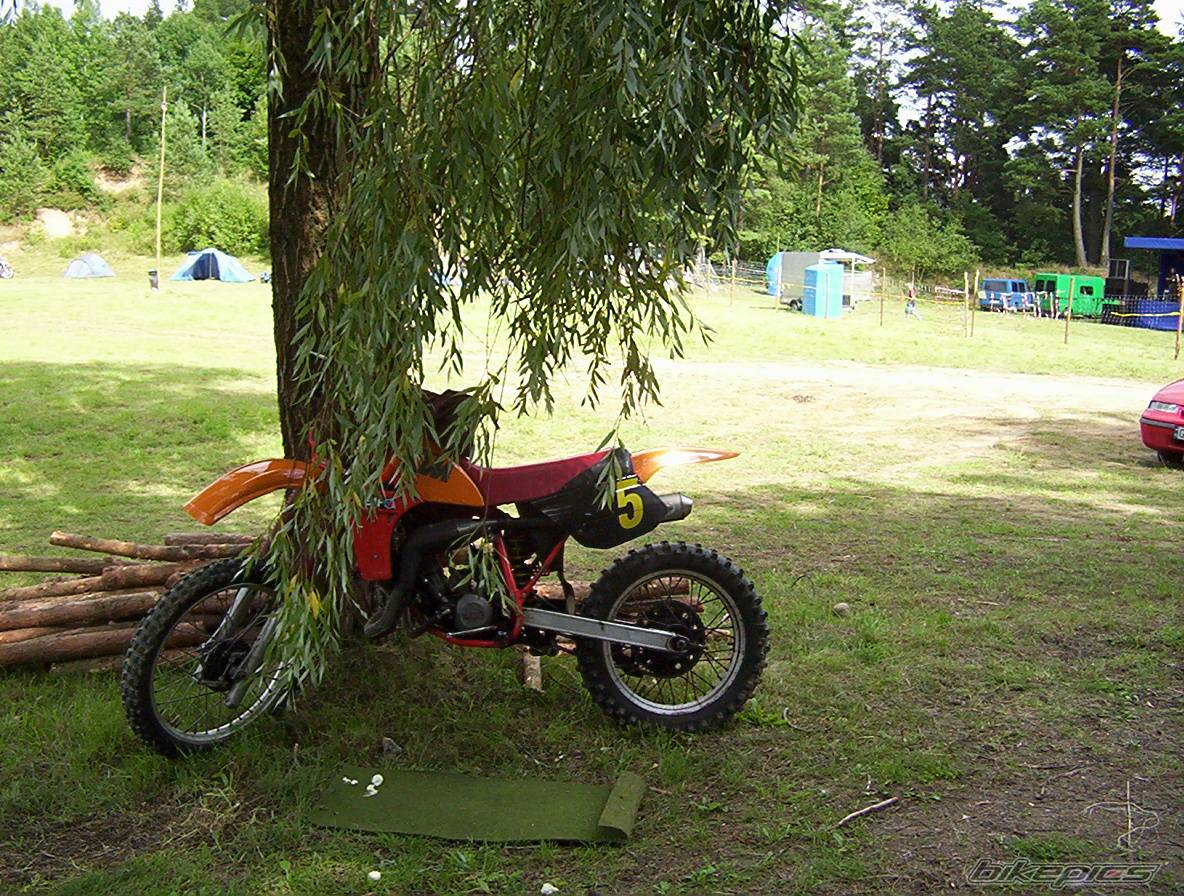Bike Photo 428838