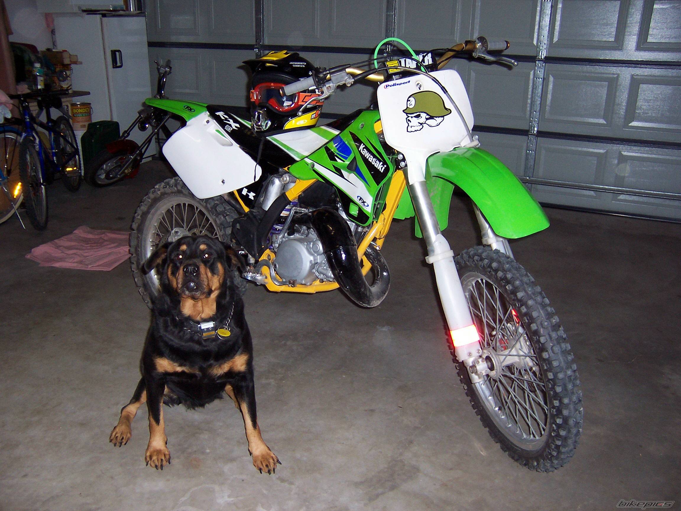 Photo 429178