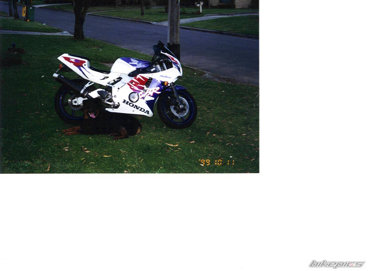 Photo 42932