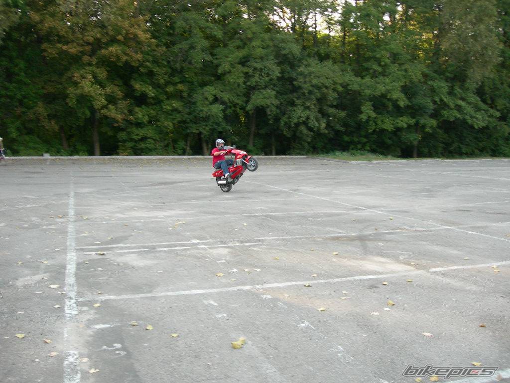 Photo 429397