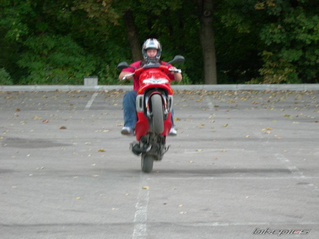 Photo 429406