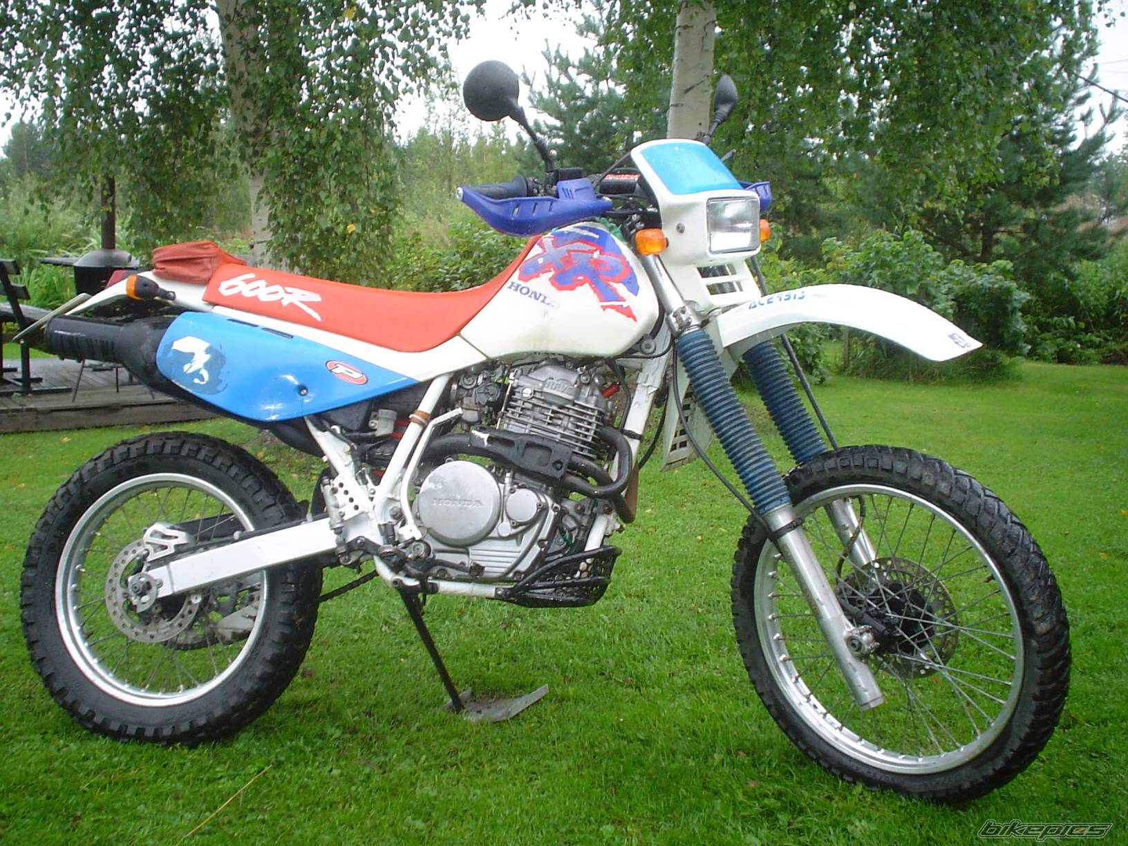 Photo 429418