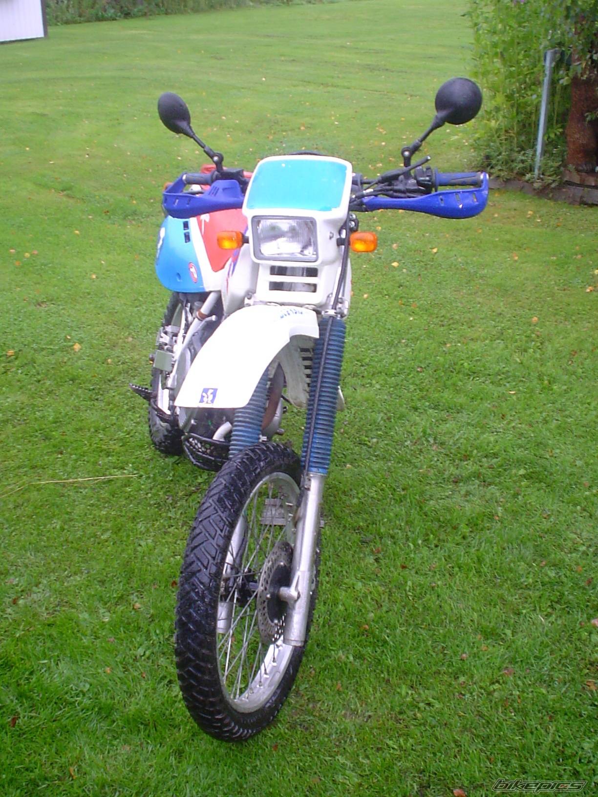 Photo 429421