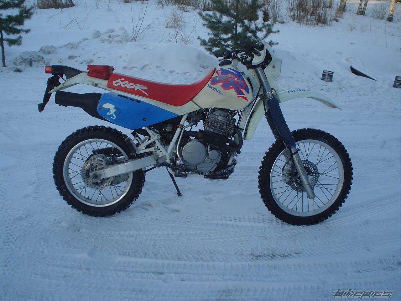 Photo 429422
