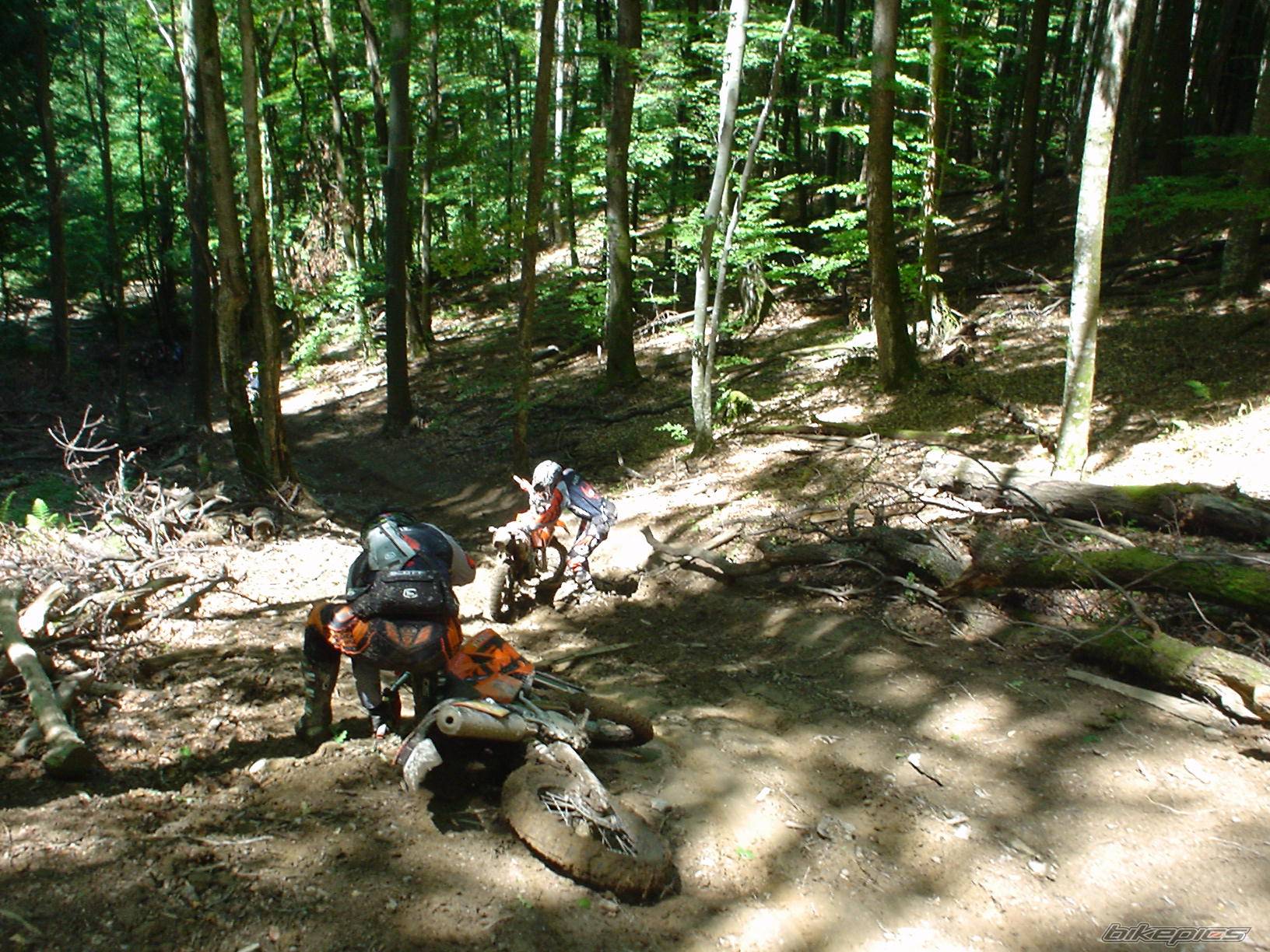 Bike Photo 429534