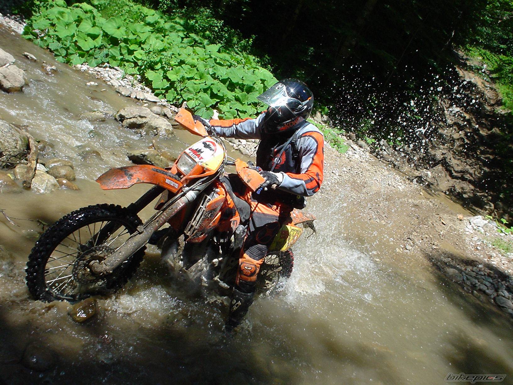 Bike Photo 429540