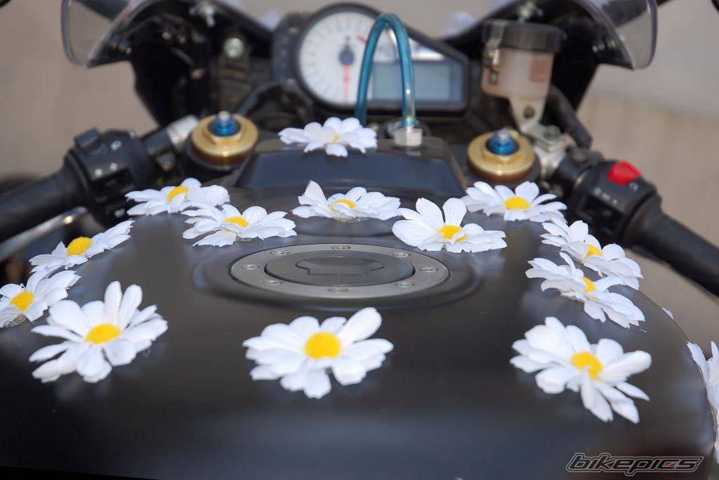 Bike Photo 429575