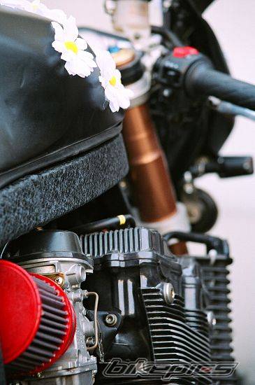 Bike Photo 429591