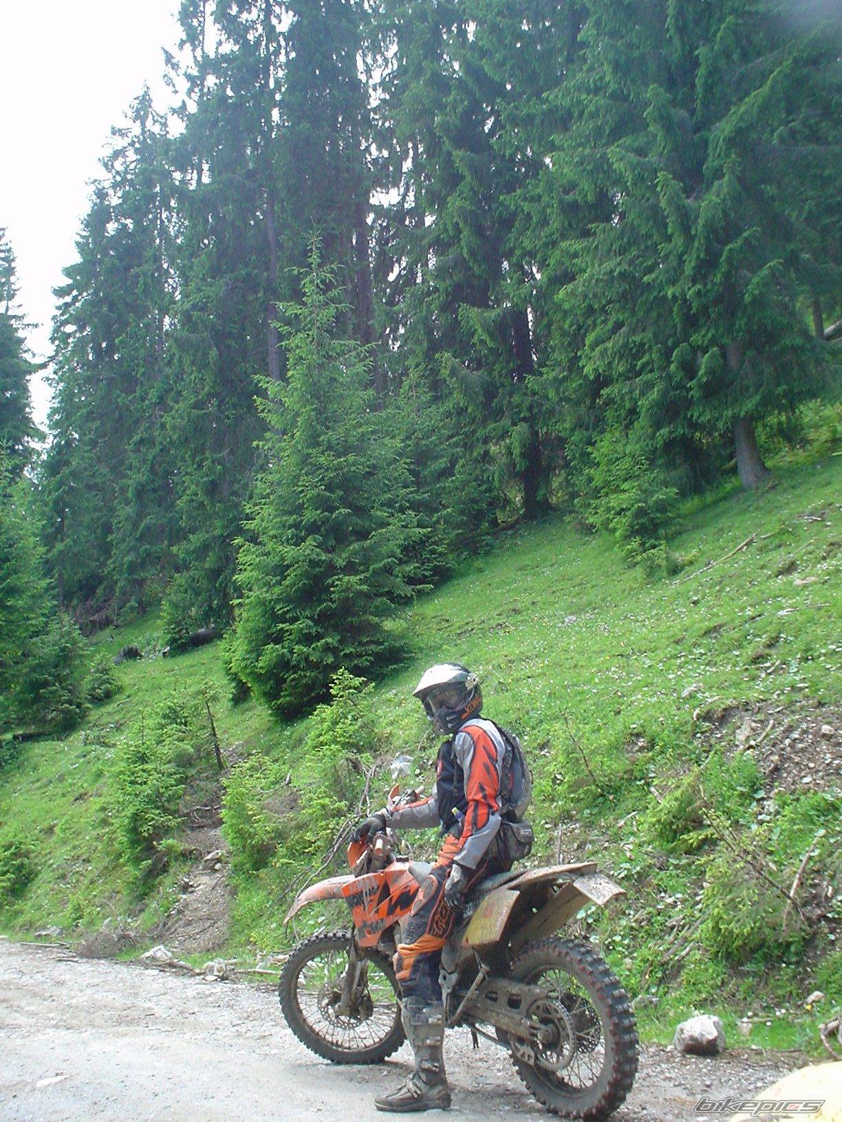 Bike Photo 429599