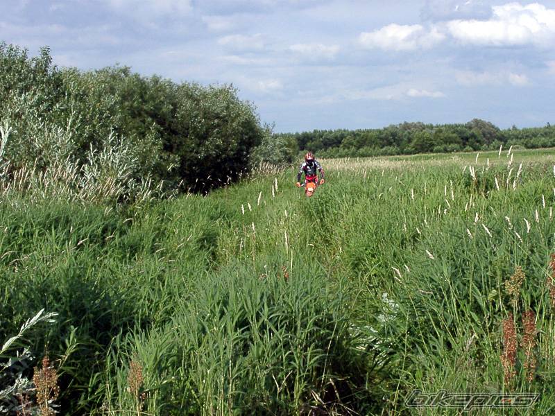 Photo 429680