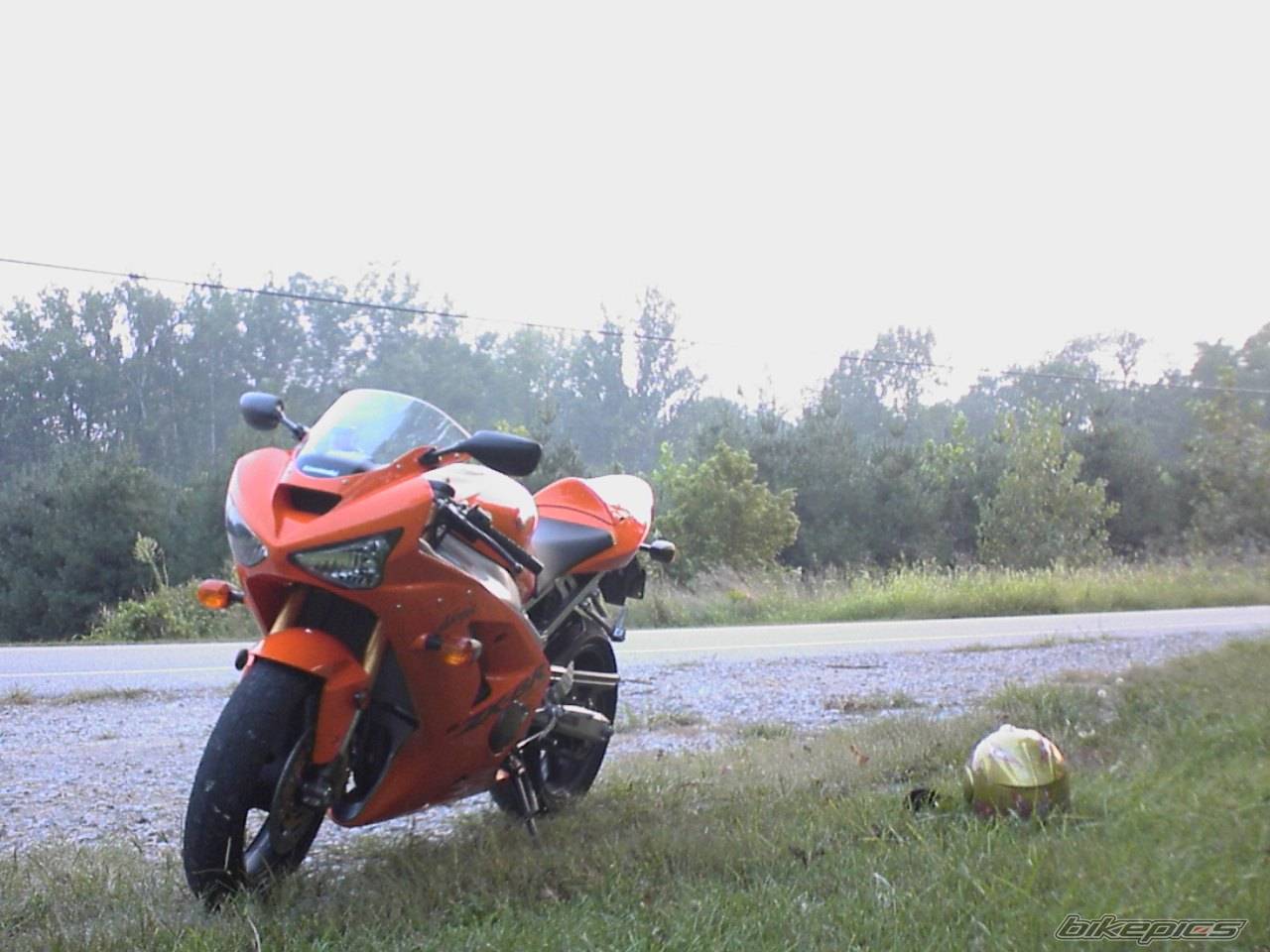 Photo 429800