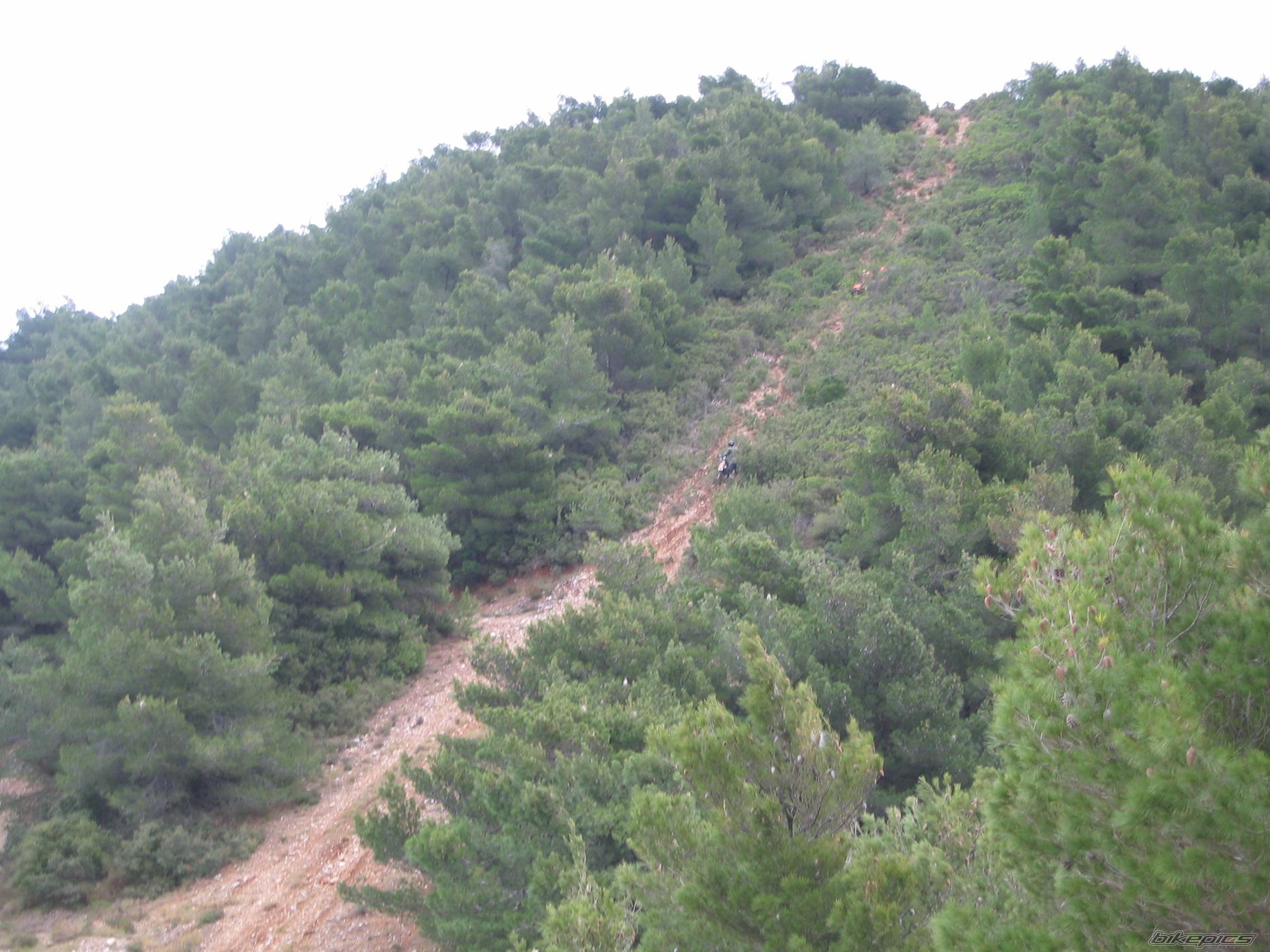 Photo 429844