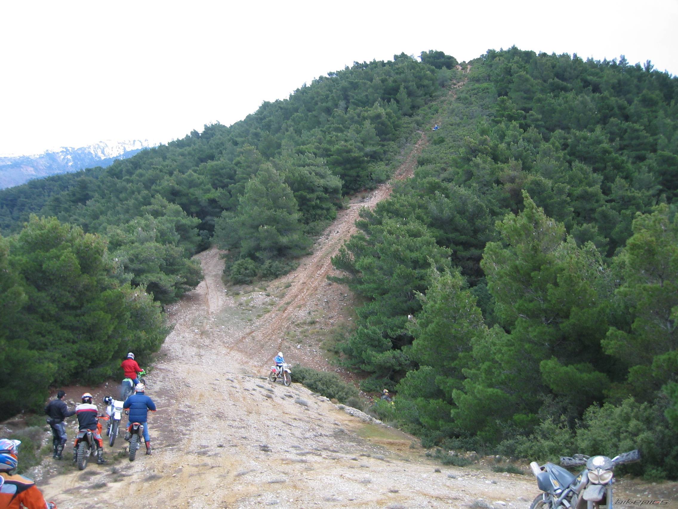 Photo 429845
