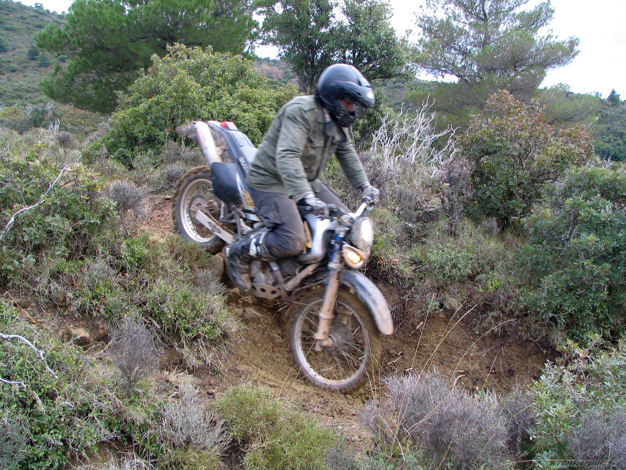 Photo 429847