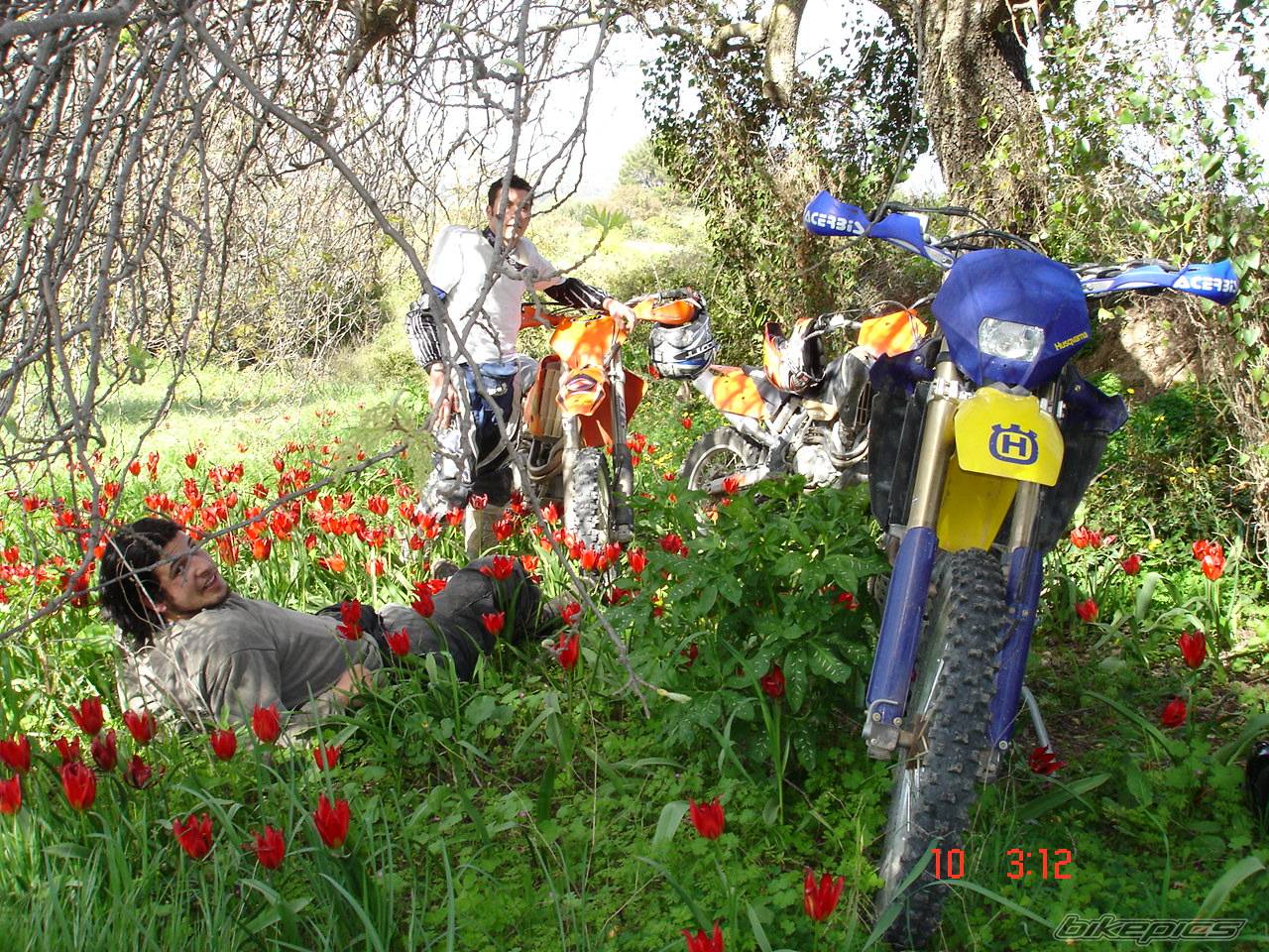 Photo 429848
